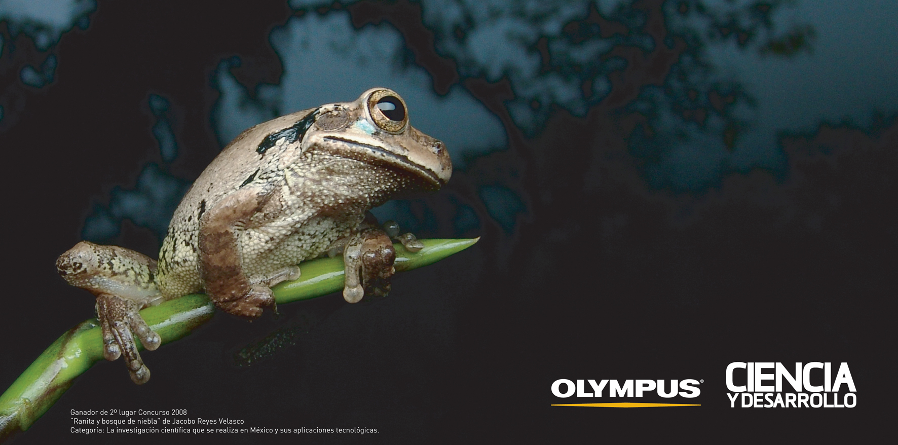 Segundo Concurso Nacional de Fotografía Científica 2009