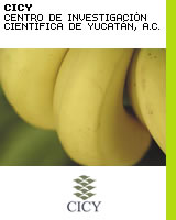 Contra enfermedades del plátano