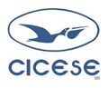 CICESE 