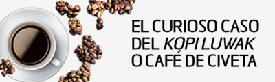 El curioso caso del kopi luwak o café de civeta