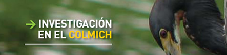 Ecosistemas en México