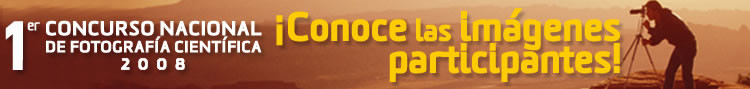 Cáncer