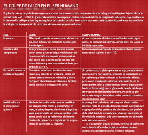 Cuadro Golpe de calor