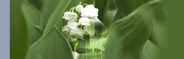 Materiales Plásticos ¿Biodegradables?