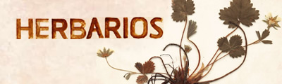 Herbarios