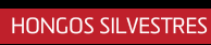 Hongos silvestres