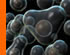 Ciencia en animación 3D